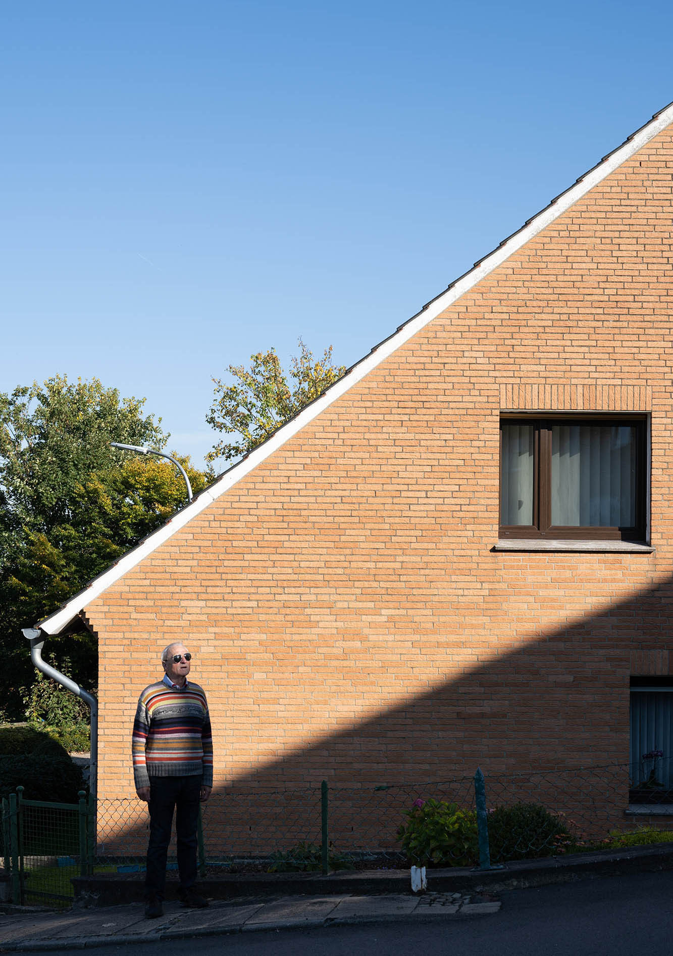 Die Katze steht im halbschatten vor einem Haus und schaut in die Ferne
