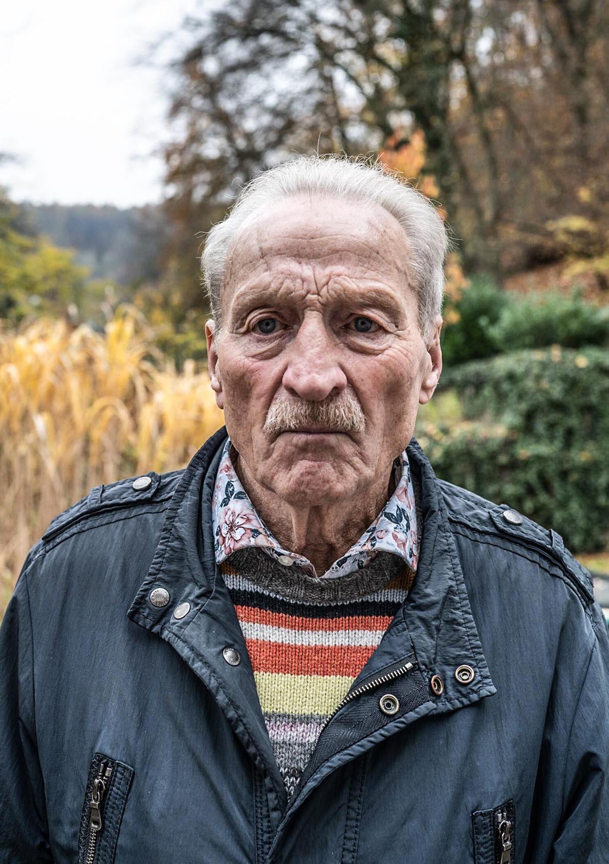 Ein Portrait der Katze